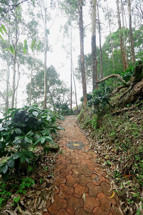 Green Magic Home Munnar Exterior foto